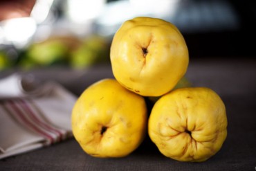 quince_featured